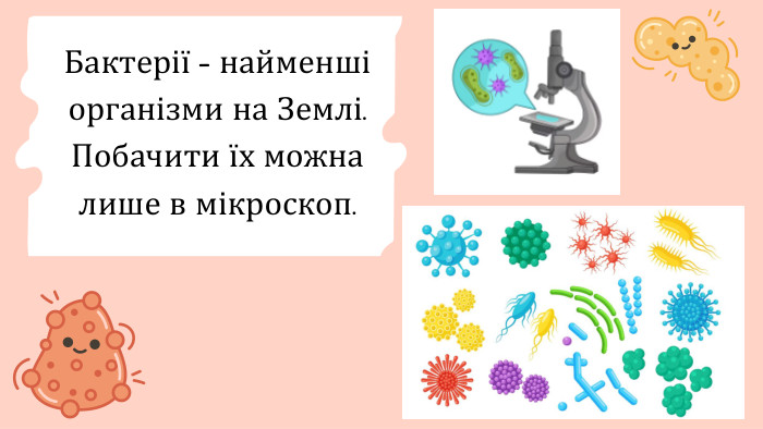 Бактерії - найменші організми на Землі. Побачити їх можна лише в мікроскоп. 