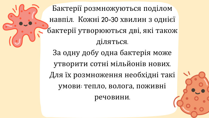 Бактерії розмножуються поділом навпіл. Кожні 20-30 хвилин з однієї бактерії утворюються дві, які також діляться. За одну добу одна бактерія може утворити сотні мільйонів нових. Для їх розмноження необхідні такі умови: тепло, волога, поживні речовини. 