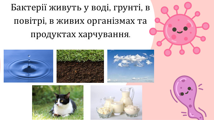 Бактерії живуть у воді, грунті, в повітрі, в живих організмах та продуктах харчування.
