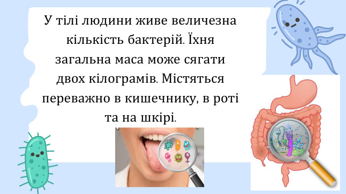 У тілі людини живе величезна кількість бактерій. Їхня загальна маса може сягати двох кілограмів. Містяться переважно в кишечнику, в роті та на шкірі.