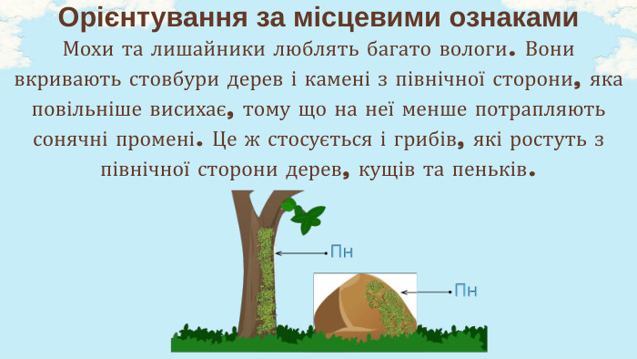 Мохи та лишайники люблять багато вологи. Вони вкривають стовбури дерев і камені з північної сторони, яка повільніше висихає, тому що на неї менше потрапляють сонячні промені. Це ж стосується і грибів, які ростуть з північної сторони дерев, кущів та пеньків. Орієнтування за місцевими ознаками