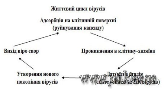 http://pti.kiev.ua/uploads/posts/2011-07/1311623395_0000.jpg