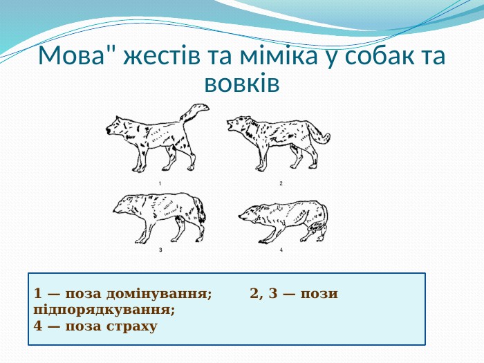 Мова