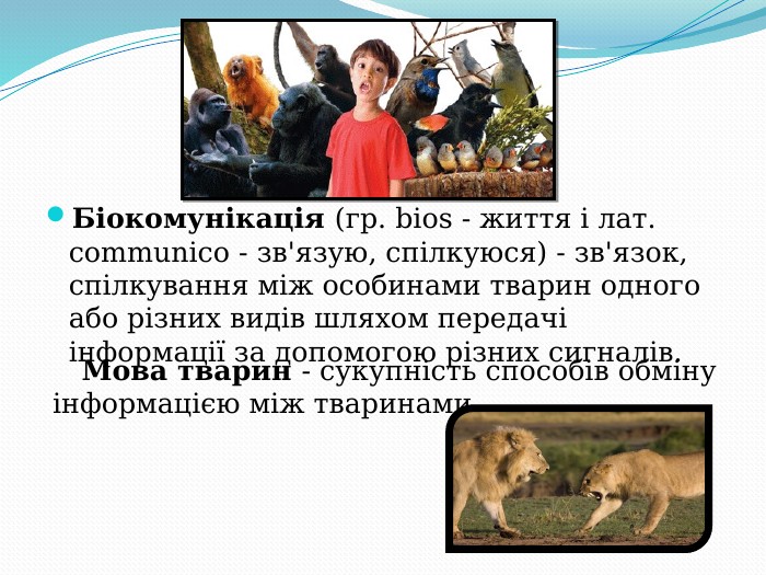 Біокомунікація (гр. bios - життя і лат. communico - зв'язую, спілкуюся) - зв'язок, спілкування між особинами тварин одного або різних видів шляхом передачі інформації за допомогою різних сигналів.       Мова тварин - сукупність способів обміну інформацією між тваринами. 