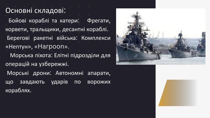 Основні складові: Бойові кораблі та катери: Фрегати, корвети, тральщики, десантні кораблі. Берегові ракетні війська: Комплекси «Нептун», «Harpoon». Морська піхота: Елітні підрозділи для операцій на узбережжі. Морські дрони: Автономні апарати, що завдають ударів по ворожих кораблях. 