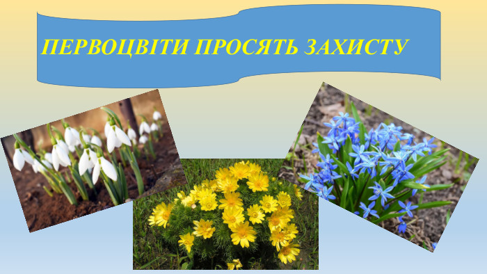   ПЕРВОЦВІТИ ПРОСЯТЬ ЗАХИСТУ