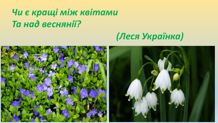 Чи є кращі між квітами. Та над веснянії? (Леся Українка) 