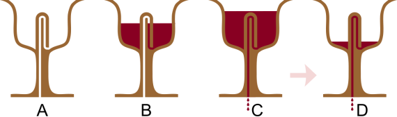 https://upload.wikimedia.org/wikipedia/commons/thumb/a/a9/Physagorian_Pythagoras_Greedy_Tantalus_cup_05.svg/1280px-Physagorian_Pythagoras_Greedy_Tantalus_cup_05.svg.png