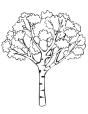 Описание: http://www.solkids.ru/images/stories/raskraski/derevo/4c89e0fedbd662b2_autumn_tree_coloring_pages.gif