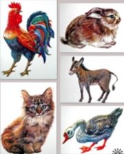 Результат пошуку зображень за запитом "клипарт животніе и птиці"