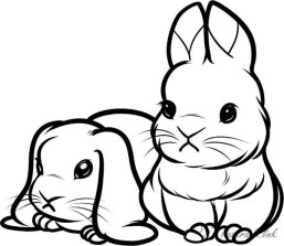 Результат пошуку зображень за запитом "розмальовка кролики"