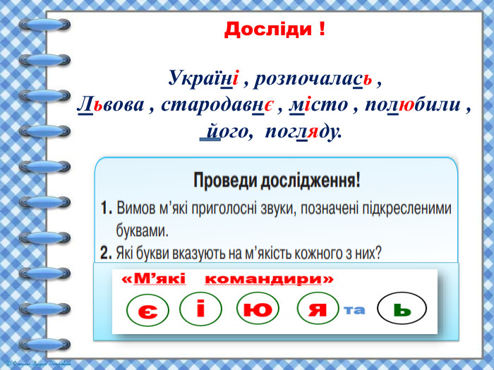 Досліди !Україні , розпочалась ,Львова , стародавнє , місто , полюбили , його, погляду.