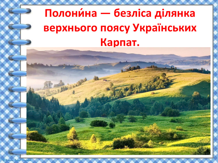 Полони́на — безліса ділянка верхнього поясу Українських Карпат.