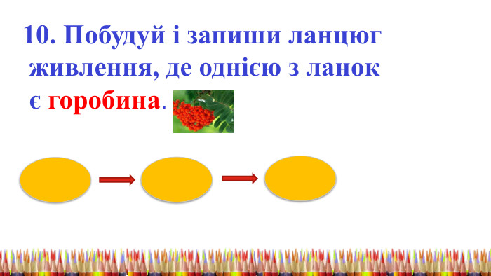 10. Побудуй і запиши ланцюг живлення, де однією з ланок є горобина. 