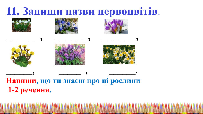 11. Запиши назви первоцвітів.______, _____ , ______,______, _____ , ______. Напиши, що ти знаєш про ці рослини 1-2 речення. 