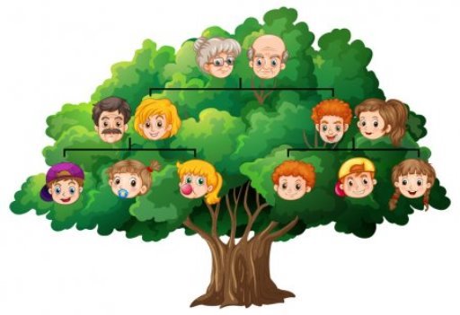 C:\Users\User\Desktop\depositphotos_59250925-stock-illustration-family-tree.jpg