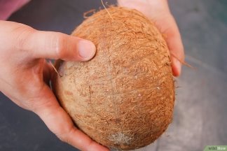 https://www.wikihow.com/images_en/thumb/1/11/Hollow-Out-a-Coconut-Step-4.jpg/v4-900px-Hollow-Out-a-Coconut-Step-4.jpg