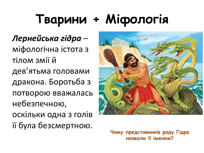 Тварини + Міфологія Лернейська гідра – міфологічна істота з тілом змії й дев’ятьма головами дракона. Боротьба з потворою вважалась небезпечною, оскільки одна з голів її була безсмертною. Чому представників роду Гідра назвали її іменем? 