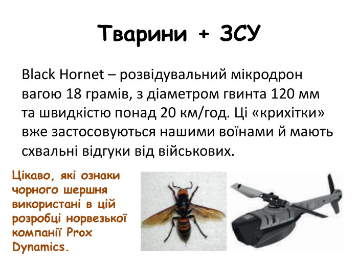 Тварини + ЗСУ Black Hornet – розвідувальний мікродрон вагою 18 грамів, з діаметром гвинта 120 мм та швидкістю понад 20 км/год. Ці «крихітки» вже застосовуються нашими воїнами й мають схвальні відгуки від військових. Цікаво, які ознаки чорного шершня використані в цій розробці норвезької компанії Prox Dynamics.
