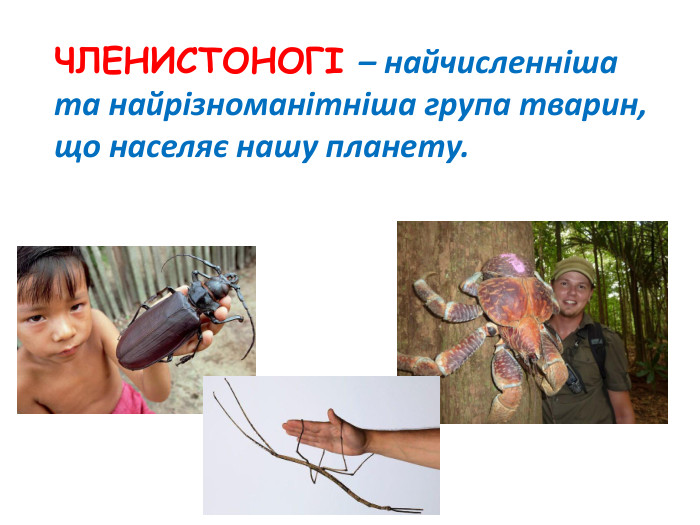 ЧЛЕНИСТОНОГІ – найчисленніша та найрізноманітніша група тварин, що населяє нашу планету. 