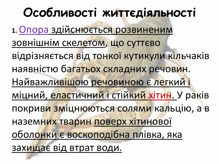 Особливості життєдіяльності1. Опора здійснюється розвиненим зовнішнім скелетом, що суттєво відрізняється від тонкої кутикули кільчаків наявністю багатьох складних речовин. Найважливішою речовиною є легкий і міцний, еластичний і стійкий хітин. У раків покриви зміцнюються солями кальцію, а в наземних тварин поверх хітинової оболонки є воскоподібна плівка, яка захищає від втрат води. 