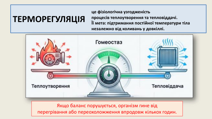 ТЕРМОРЕГУЛЯЦІЯ це фізіологічна узгодженістьпроцесів теплоутворення та тепловіддачі. Її мета: підтримання постійної температури тіланезалежно від коливань у довкіллі. Якщо баланс порушується, організм гине відперегрівання або переохоложження впродовж кількох годин.