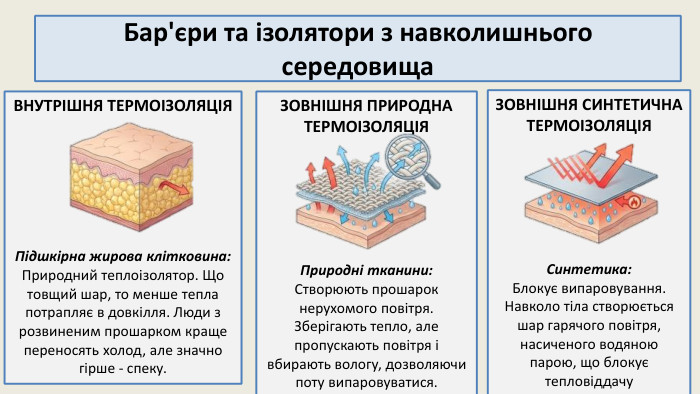 ВНУТРІШНЯ ТЕРМОІЗОЛЯЦІЯ Підшкірна жирова клітковина: Природний теплоізолятор. Що товщий шар, то менше тепла потрапляє в довкілля. Люди з розвиненим прошарком краще переносять холод, але значно гірше - спеку. ЗОВНІШНЯ СИНТЕТИЧНАТЕРМОІЗОЛЯЦІЯСинтетика: Блокує випаровування. Навколо тіла створюється шар гарячого повітря,насиченого водяною парою, що блокує тепловіддачу. ЗОВНІШНЯ ПРИРОДНАТЕРМОІЗОЛЯЦІЯПриродні тканини: Створюють прошарок нерухомого повітря. Зберігають тепло, але пропускають повітря і вбирають вологу, дозволяючи поту випаровуватися. Бар'єри та ізолятори з навколишньогосередовища