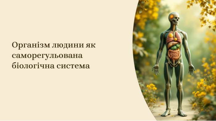 Організм людини як саморегульована біологічна система