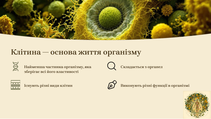 Клітина — основа життя організму. Найменша частинка організму, яка зберігає всі його властивостіСкладається з органелІснують різні види клітин. Виконують різні функції в організмі