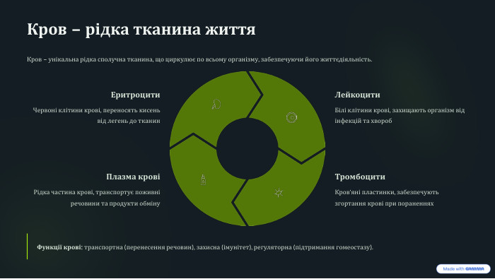 Кров – рідка тканина життя. Кров – унікальна рідка сполучна тканина, що циркулює по всьому організму, забезпечуючи його життєдіяльність. Еритроцити. Червоні клітини крові, переносять кисень від легень до тканин. Лейкоцити. Білі клітини крові, захищають організм від інфекцій та хвороб. Тромбоцити. Кров'яні пластинки, забезпечують згортання крові при пораненнях. Плазма кровіРідка частина крові, транспортує поживні речовини та продукти обміну. Функції крові: транспортна (перенесення речовин), захисна (імунітет), регуляторна (підтримання гомеостазу).
