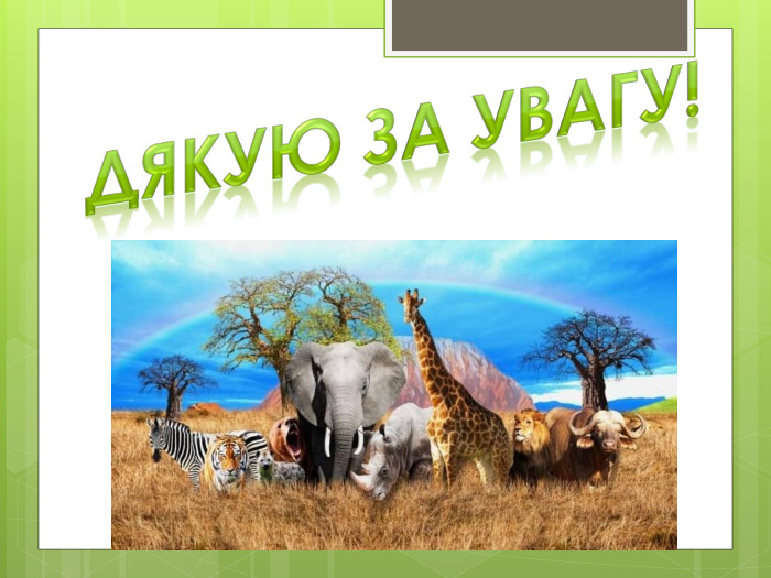 Дякую за увагу!