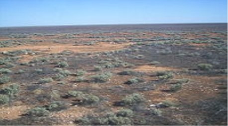 http://upload.wikimedia.org/wikipedia/commons/thumb/1/18/Nullabor_plain_from_the_indian_pacific.jpg/200px-Nullabor_plain_from_the_indian_pacific.jpg