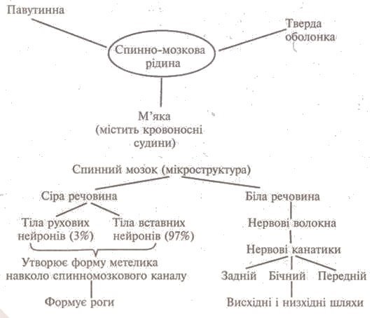 http://subject.com.ua/lesson/biology/9klas/9klas.files/image148.jpg
