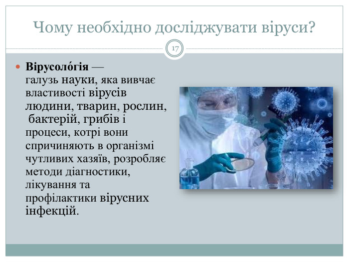 Чому необхідно досліджувати віруси? Вірусоло́гія — галузь науки, яка вивчає властивості вірусів людини, тварин, рослин, бактерій, грибів і процеси, котрі вони спричиняють в організмі чутливих хазяїв, розробляє методи діагностики, лікування та профілактики вірусних інфекцій.17 Чому необхідно досліджувати віруси? Найочевидніша мета досліження вірусів ‒ боротьба з хворобами, що ними спричиняються. Вірусні захворювання не тільки суттєво впливають на якість життя кожної людини, але і подекуди стають важливими чинниками розвитку суспільства: в минулому такий вплив мала віспа, нині – СНІД. Тож людині конче потрібне розуміння природи вірусів, знання процесів їх відтворення, інфікування господаря і спричинення захворювань. Саме такі знання дозволяють розробляти ефективні заходи із запобігання, діагностики і лікування вірусних інфекцій, починаючи від звичайнісінької застуди і закінчуючи летальними хворобами на кшталт сказу, СНІДу та деяких типів злоякісних пухлин. Не менш важливою для людини є також ветеринарна вірусологія і вірусологія рослин, оскільки вірусні хвороби свійських тварин і культурних рослин значно знижують продуктивність сільського господарства. Віруси-бактеріофаги можуть заражати молочнокислі бактерії, за допомогою яких виготовляються сири, йогурти і інші молочні продукти, що призводить до серйозних збитків харчової промисловості.