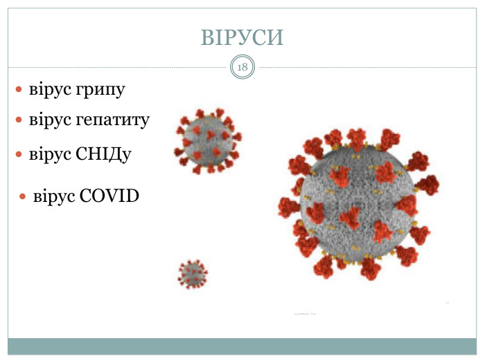 ВІРУСИ18вірус грипувірус гепатитувірус СНІДувірус COVIDВіруси спричиняють різноманітні, часто масові (епідемічні) захворювання. У людини віруси вражають:органи дихання (віруси грипу);травну систему (гастроентерити, гепатити);нервову систему (поліомієліт, енцефаліти, сказ);шкіру та слизові оболонки (кір, герпес, папіломи, вітряна віспа);пригнічують імунні реакції організму (СНІД);призводять до ракових захворювань (онковіруси), тощо. У тварин віруси спричинюють ящур, чумку собак, чуму курей, у рослин —  жовтушність, мозаїчність, плямистість, некрози, пухлини, тощо.