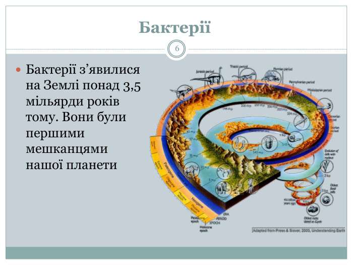 Бактерії 6 Бактерії з’явилися на Землі понад 3,5 мільярди років тому. Вони були першими мешканцями нашої планети. Предки сучасних бактерій були одноклітинними мікроорганізмами, які були одними з перших форм життя, що розвинулися на Землі близько 4 млрд років тому.