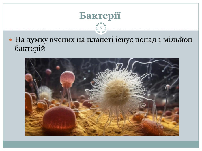 Бактерії 7 На думку вчених на планеті існує понад 1 мільйон бактерій. Дослідження показали, що бактерії мають вирішальне значення при формуванні живих організмів будь-якого рівня складності.завдяки дії бактерій у нас є імунна система. Але, на даний момент, описано не більше 10 000 бактерій, тобто на сьогоднішній день велика частина бактерій залишається не вивченою.