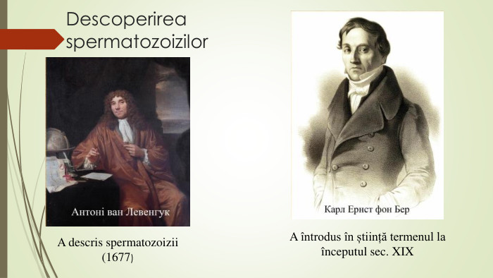 Descoperirea spermatozoizilor. A întrodus în știință termenul la începutul sec. XIX A descris spermatozoizii (1677)