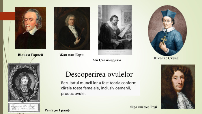 Descoperirea ovulelor. Вільям Гарвей. Жан ван Горн Ян Сваммердам. Ніколас Стено. Рен'є де Грааф. Франческо РедіRezultatul muncii lor a fost teoria conform căreia toate femelele, inclusiv oamenii, produc ovule. 