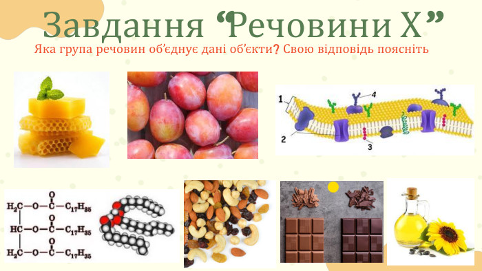 Завдання “Речовини Х”Яка група речовин об’єднує дані об’єкти? Свою відповідь поясніть