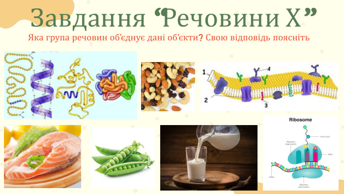 Завдання “Речовини Х”Яка група речовин об’єднує дані об’єкти? Свою відповідь поясніть