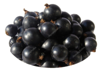 https://static6.depositphotos.com/1004216/625/i/950/depositphotos_6255815-stock-photo-blackcurrant-black-berries-close-up.jpg