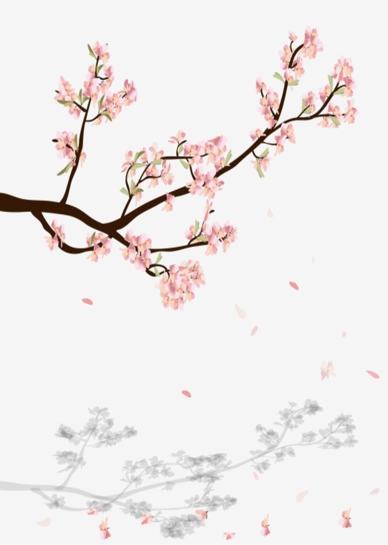 watercolor-sakura-frame-background-with-blossom-cherry-tree-branches-png_193667.jpg