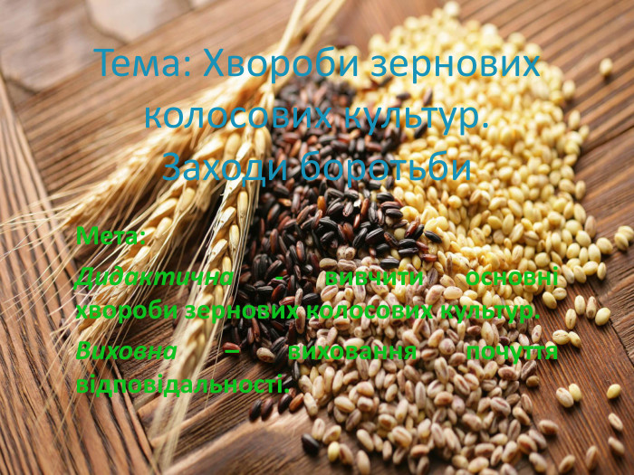 Тема: Хвороби зернових колосових культур. Заходи боротьби. Мета: Дидактична - вивчити основні хвороби зернових колосових культур. Виховна – виховання почуття відповідальності.