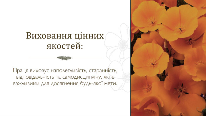 Виховання цінних якостей: Праця виховує наполегливість, старанність, відповідальність та самодисципліну, які є важливими для досягнення будь-якої мети. 