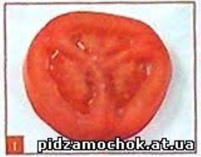 Результат пошуку зображень за запитом "малюнок      кружальце помідора"
