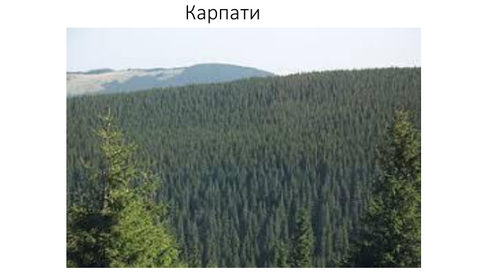 Карпати