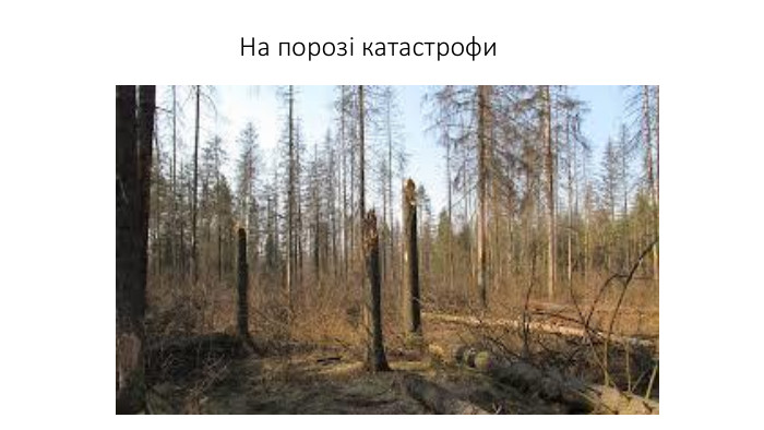На порозі катастрофи