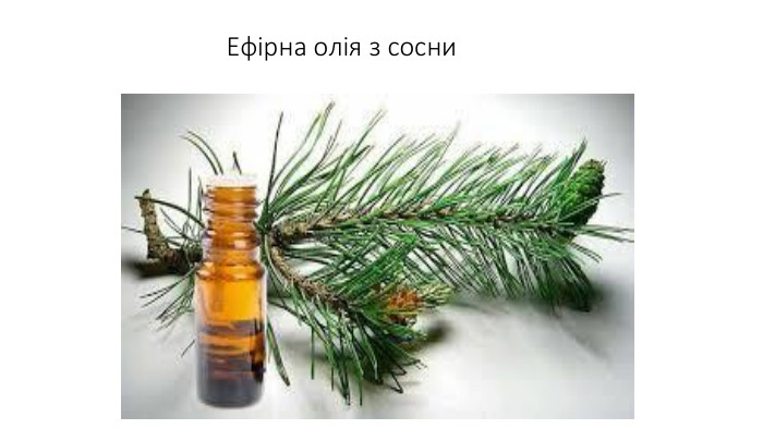 Ефірна олія з сосни