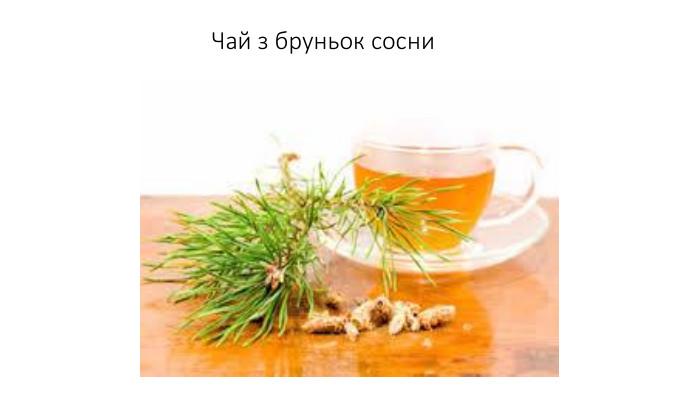 Чай з бруньок сосни